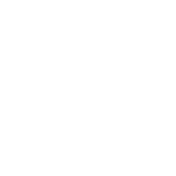 Diagnostic électronique
